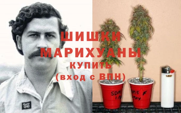 гидропоника Покровск