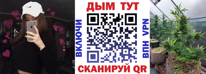 Каннабис SATIVA & INDICA  сколько стоит  KRAKEN маркетплейс  сайты даркнета наркотические препараты  Тихорецк 